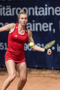 Angelina Wirges 41 - BL DTV Hannover - BW Dresden Blasewitz : Ergebnis: 2:7